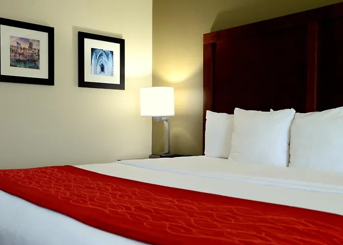 Comfort Inn University Durham - Chapel Hill