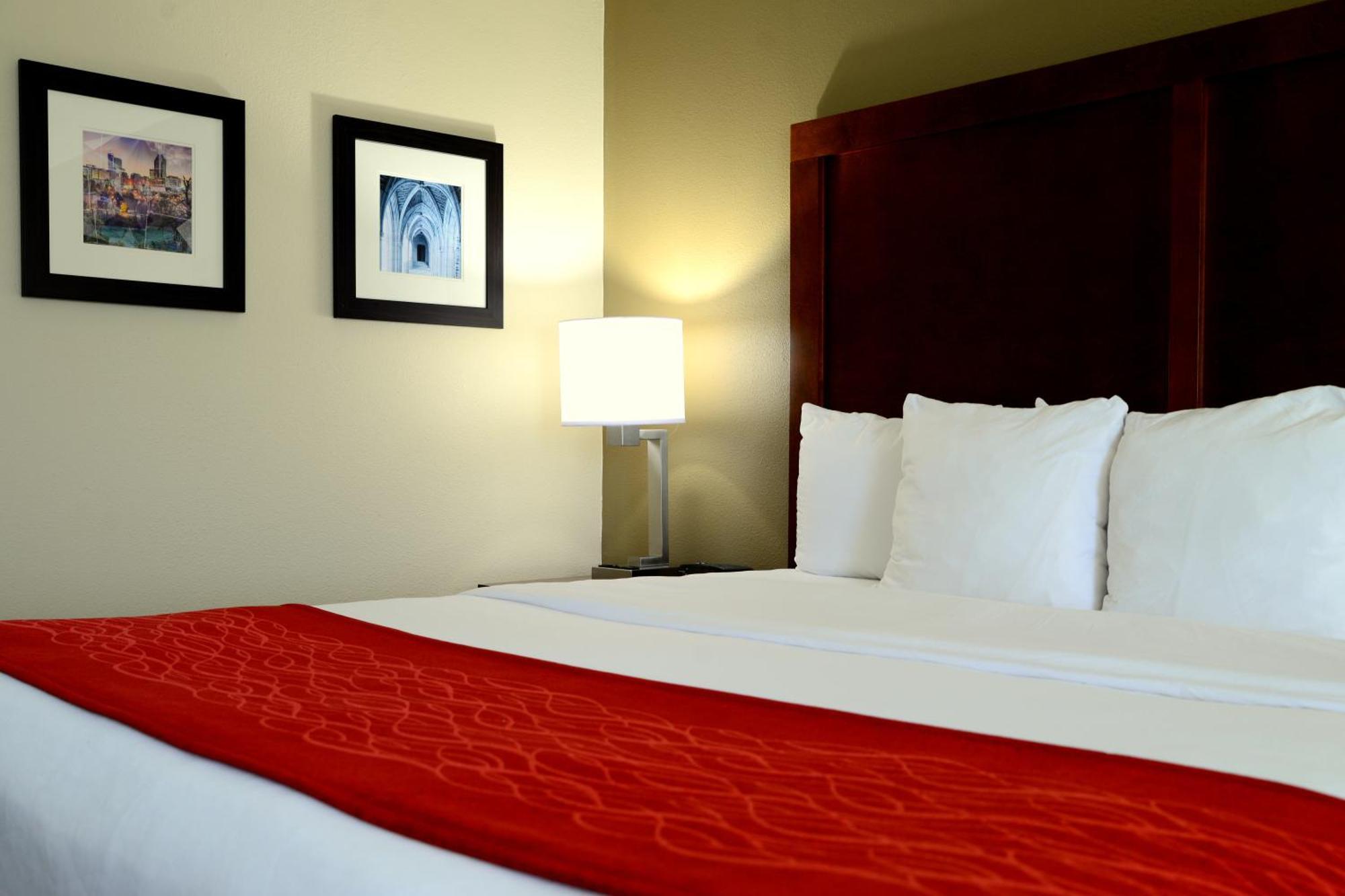 Mini-hôtel Comfort - Chapel Hill