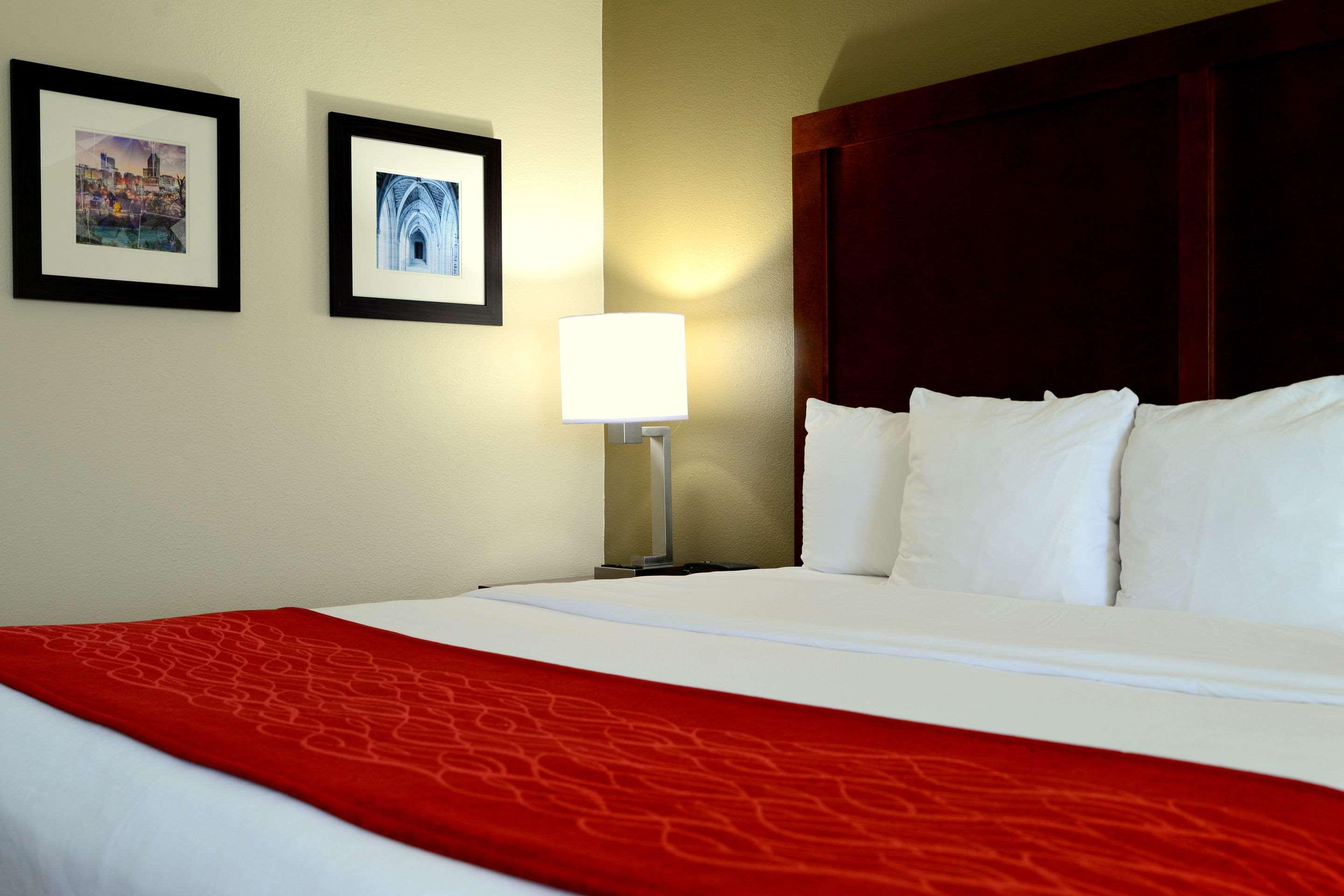 Comfort - Chapel Hill Durham